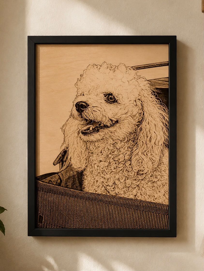 RETRATO CONTRACHAPADO - imagen 4